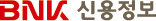 BNK 신용정보